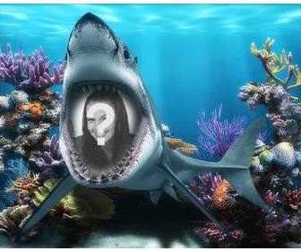 ihr foto im mund von einem hai unter dem meer mit diesem spaß fotomontage