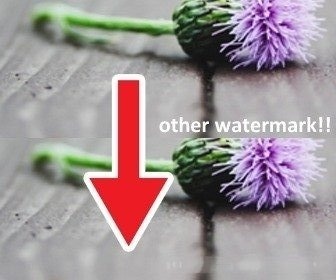 Online-Wasserzeichen entfernen Tool für Fotos
