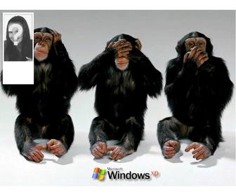 monkeys machen die zeichen der nicht zuhort nicht zu sehen nicht horen um einen hintergrund fur twitter mit ihrem foto eingestellt