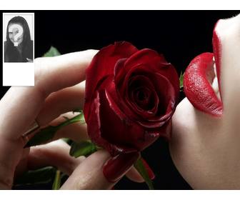 romantische hintergrund auf twitter mit einer roten rose anpassbare mit ihrem eigenen foto