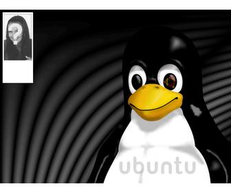 hintergrund fur twitter von der linux-maskottchen tux wo sie ihre fotos legen konnen