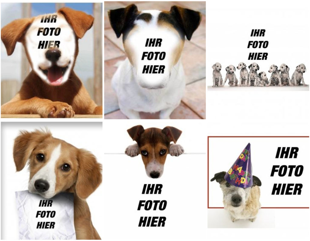 Fotoeffekte von Hunden mit Ihrem Lieblingsfoto kostenlos bearbeiten