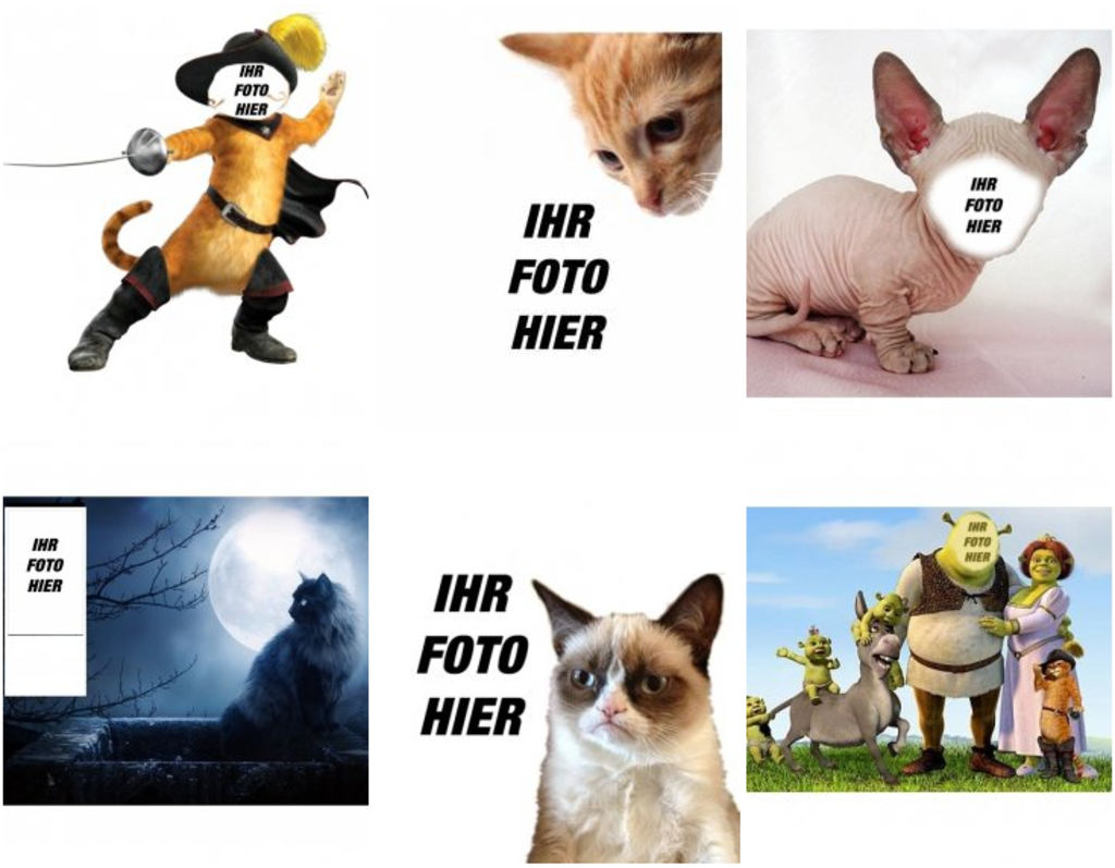 Fotomontage mit Katzen mit Ihren Fotos zu tun