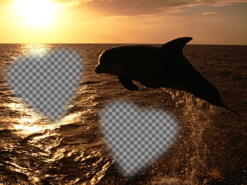 Anpassbare Karte für zwei Fotos in Form von Herzen und einem Delphin. ..
