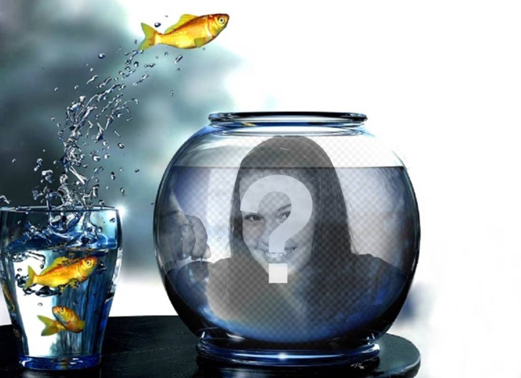 Erstellen Sie eine Fotomontage mit einem Tank voll Wasser mit gelben Fische springen aus dem Glas, wo Sie ein Bild gesetzt..