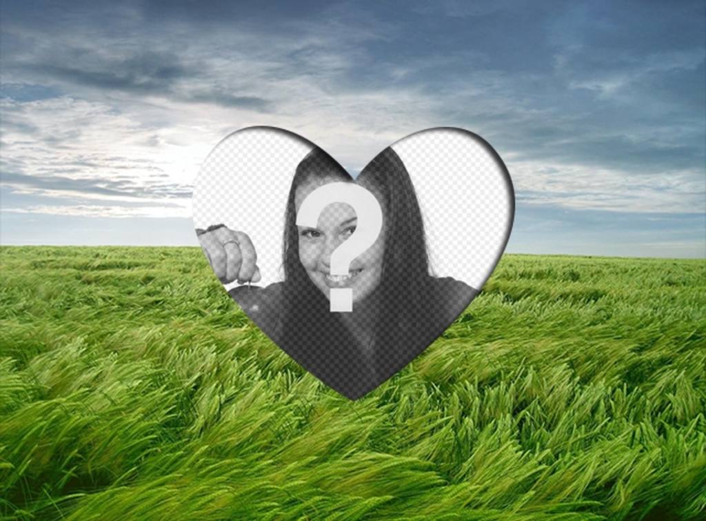 Liebe PhotoFrame ein romantisches Bild Herz auf einer Landschaft mit grünen Weizenfeld und blauer Himmel geformt..