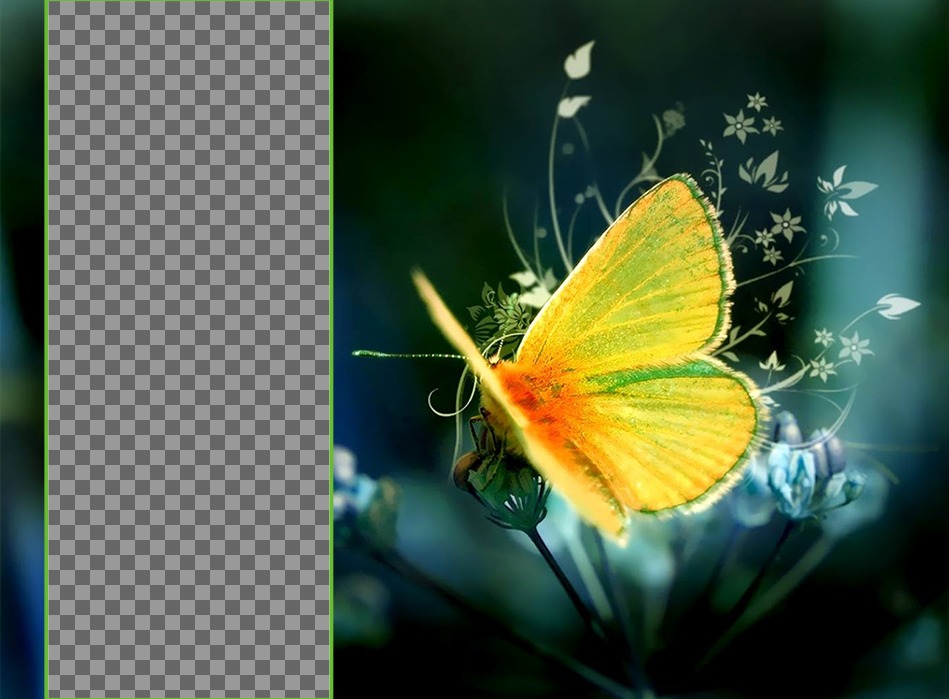 Wallpaper für zwei Fotos mit einem gelben Schmetterling auf einer Blume. ..