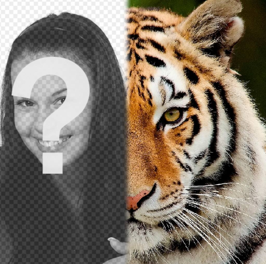 Fotomontage auf die Hälfte seines Gesichtes wie ein Tiger zu haben. ..