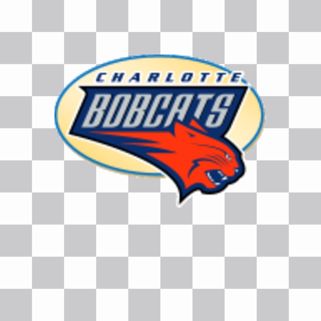 Aufkleber mit dem Logo der Charlotte Bobcats. ..