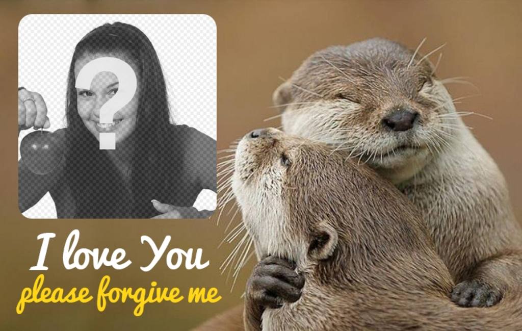 Collage der Vergebung mit zwei Ottern ..