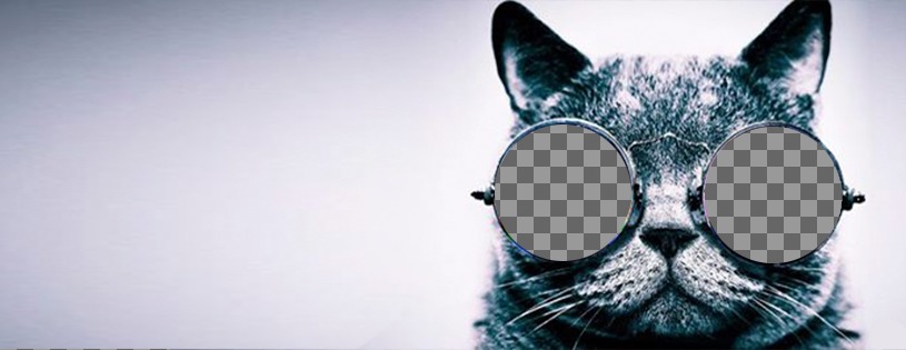 Anpassbare Cover-Foto für Facebook mit einer Katze mit Sonnenbrille ..