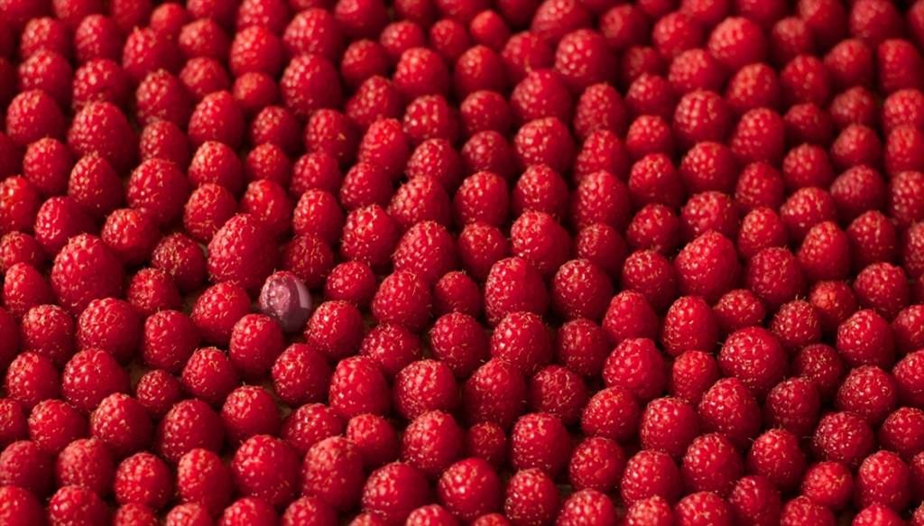 Spiel für Ihr Bild mit einem Stapel von Himbeeren ..