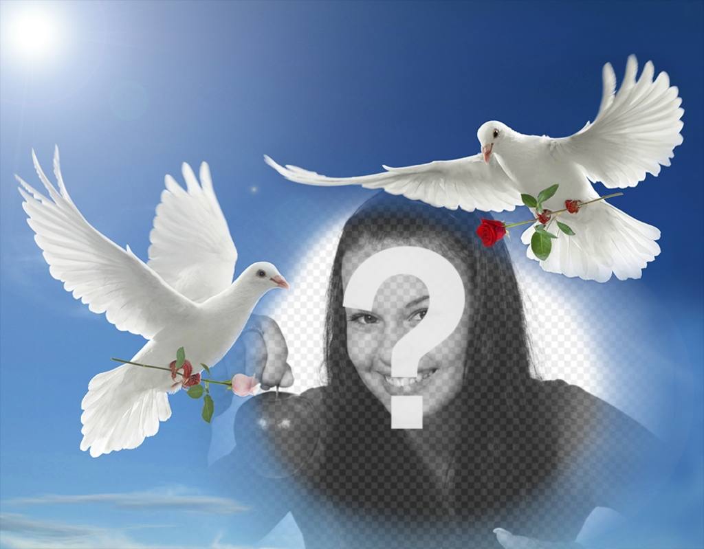 Fotoeffekt des Friedens mit zwei weißen Tauben fliegen ..
