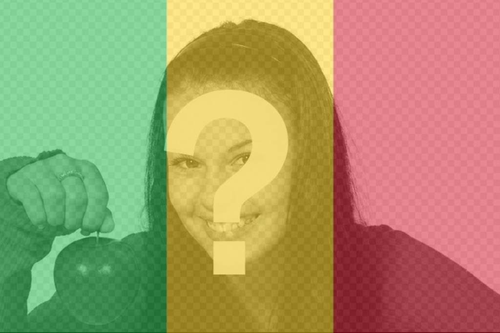 Flagge von Mali, um in Ihrem Profil Fotos ..