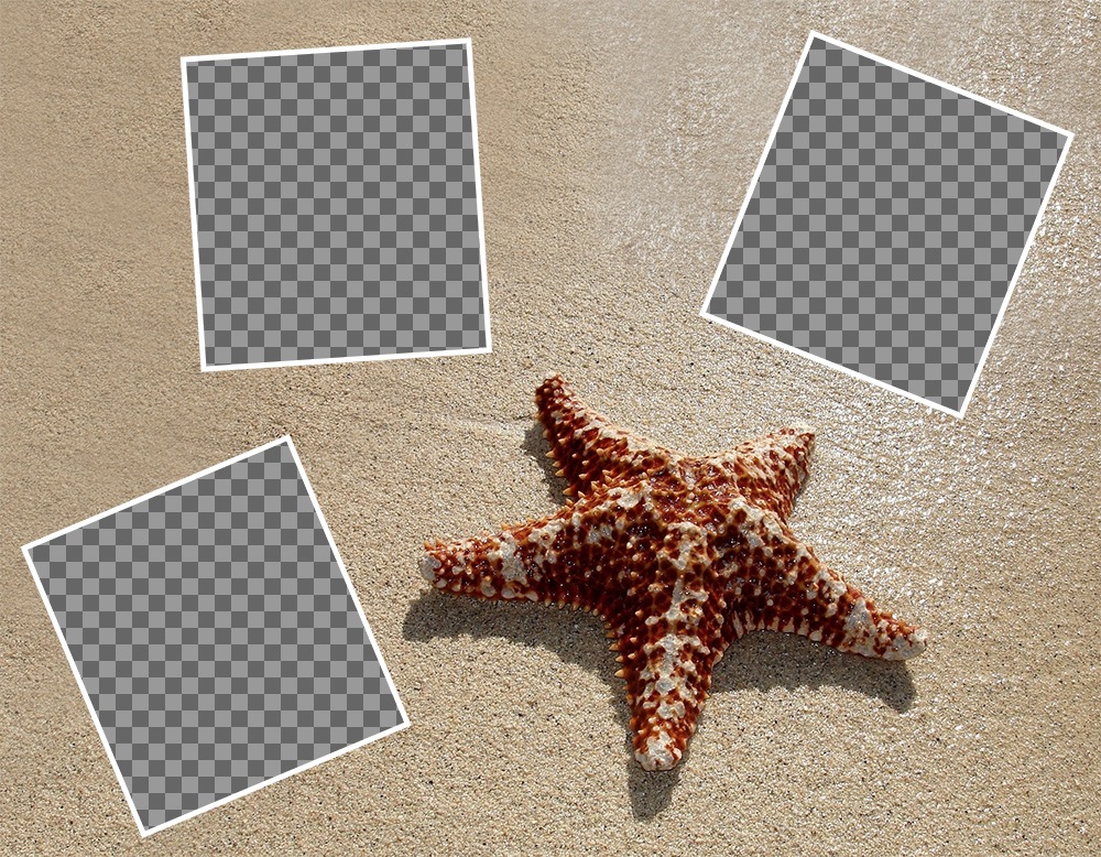 Collage mit drei Bilder mit einem Seestern zu bearbeiten und kostenlos ..