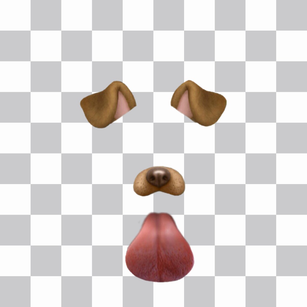Hunde Filter Snapchat seine Zunge auf Ihr Gesicht zu setzen 