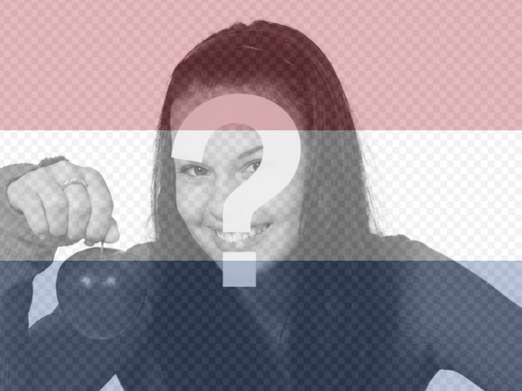 Bilder der niederländischen Flagge zum Einfügen eines Fotos   ..